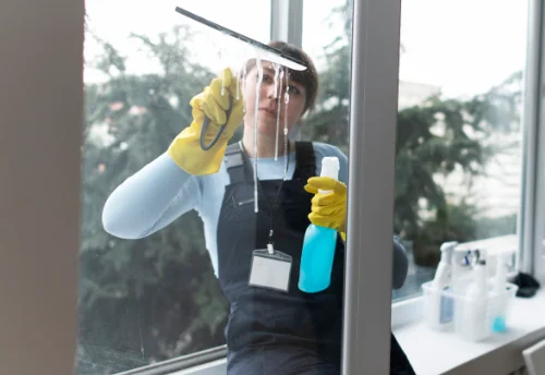 Nettoyage de vitres intérieures et extérieures à Méasnes